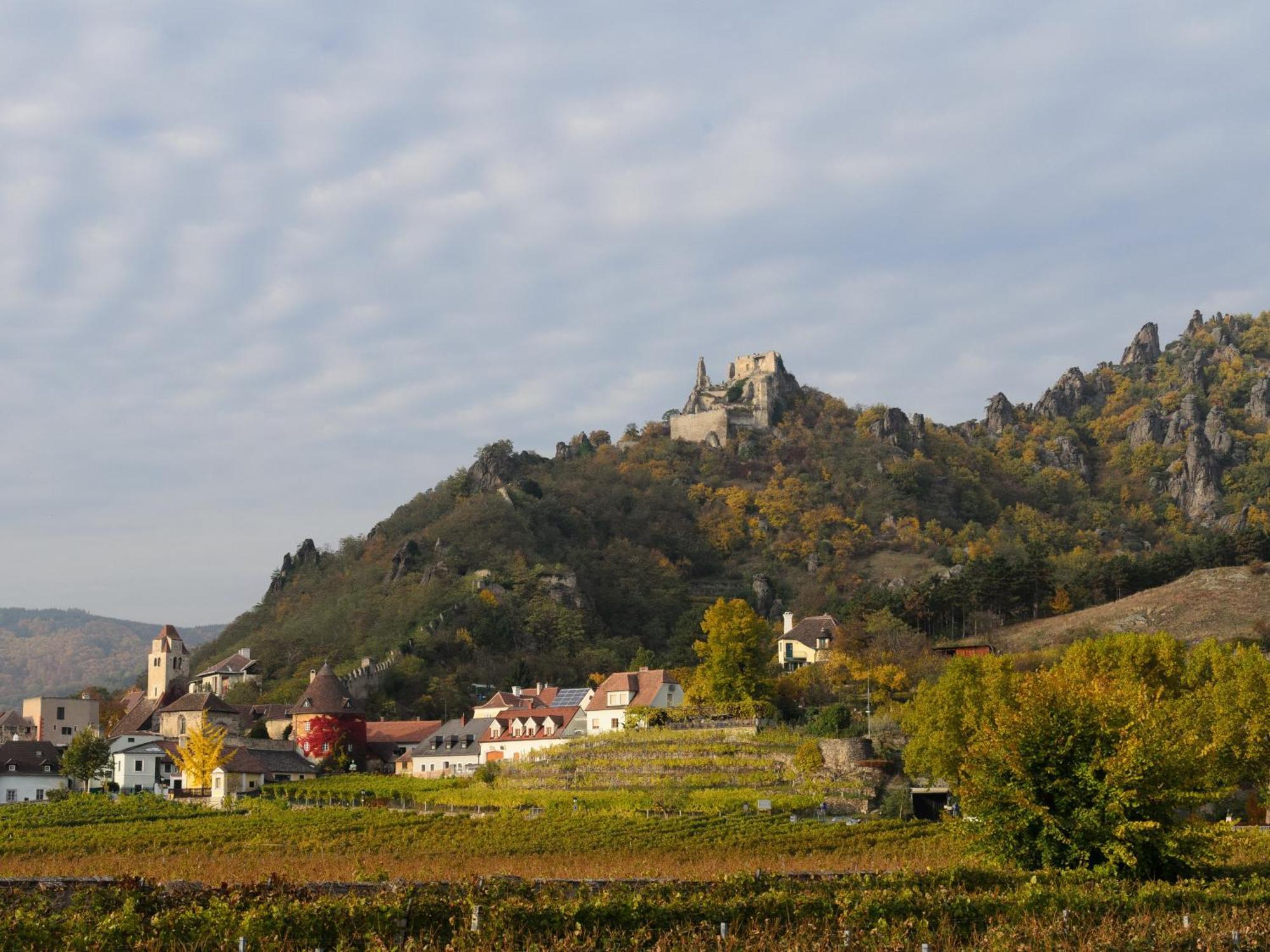 Gästehaus Familie Trachsler Rohrendorf bei Krems Exterior foto